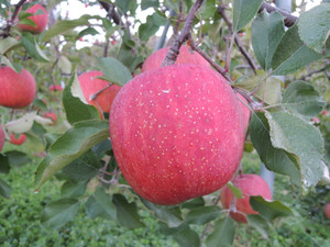 Dscn2683