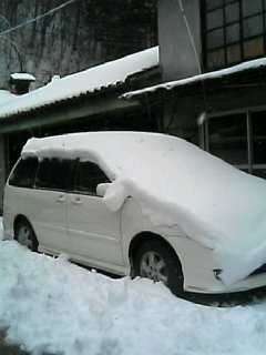 雪積もりました