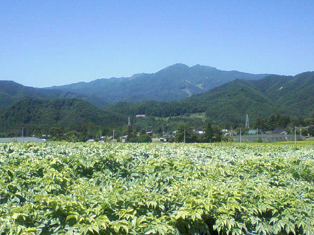 いよいよ開園！！